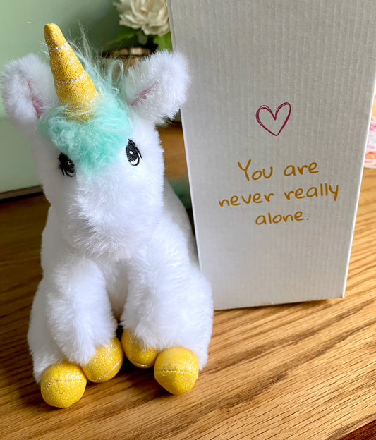 Gerald the Shaggy Unicorn Stuffed Animal + Reminder Box